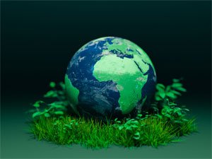 Image explaining the Established 'Carbon Neutrality & Chemical Regulatory Compliance Division'